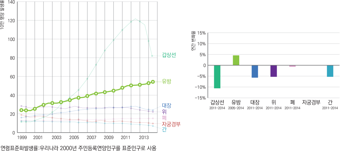 ������ �ֿ�� ����ǥ��ȭ�߻��� ���� : ����