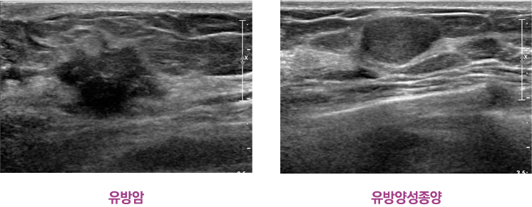 �����,����缺���� �����Ļ���