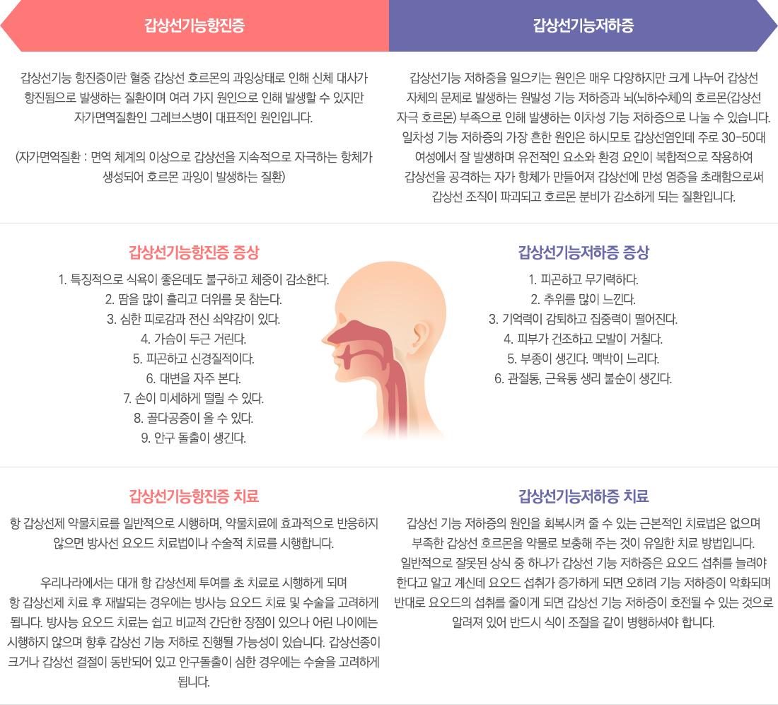 ���������������/���󼱱�������� ��