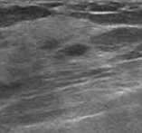 ���� ���� ���� ��ȭ