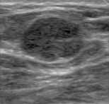 ���漶������