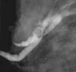 ���λ� ����